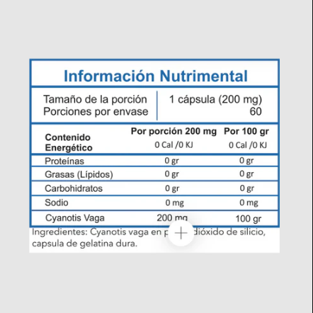 Essentials B-ECDY | 60 Cápsulas